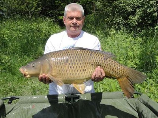 1506_14,5kg.JPG