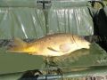 1207_8,7kg.JPG
