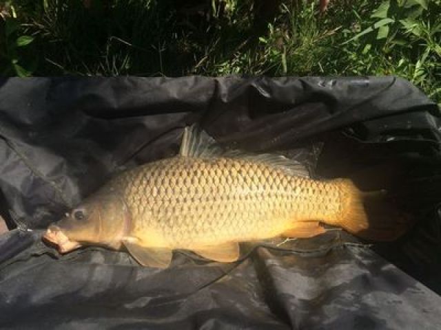 0408_11,4kg.JPG