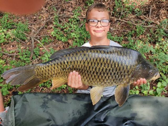 19_08-10kg.jpg