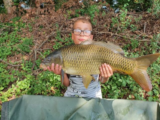 19_08-8.6kg.jpg