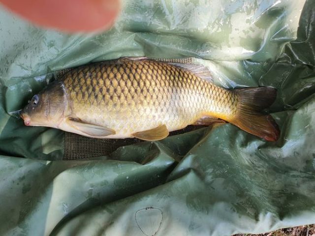 20_08-14kg.jpg