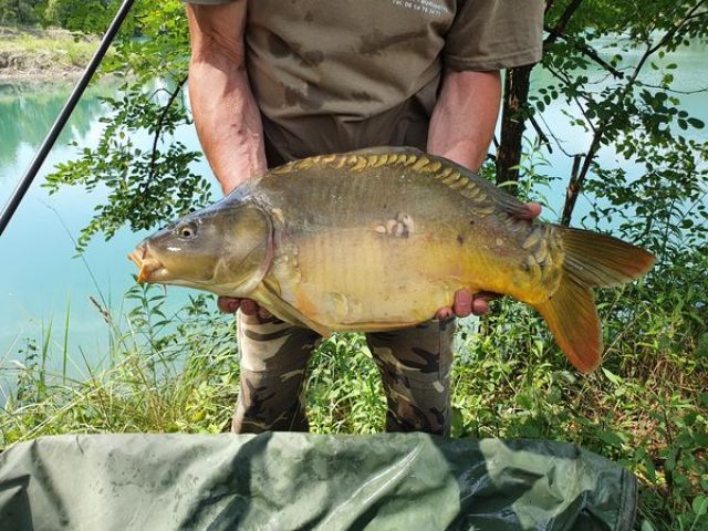 21_07-6kg.jpg